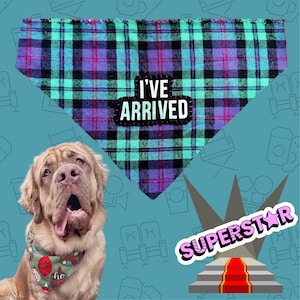 May include: A dog wearing a green and red holiday-themed bandana. Above the dog is a plaid bandana with the text "I'VE ARRIVED". The plaid bandana is teal, purple, and black. The background is teal with movie-themed graphics.