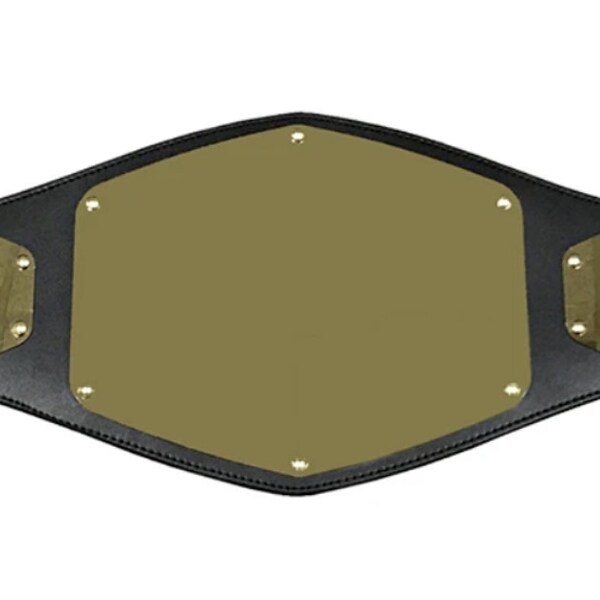 Réplique personnalisée du championnat, ceinture de lutte, ceinture de lutte, réplique de la wwe, réplique de la wwe, meilleur cadeau pour lui, amateur de boxe de catch