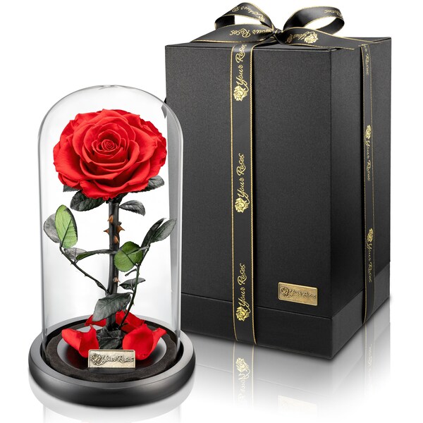 YourRoses® echte Premium Rose im Glas mit einer wunderschönen Geschenkbox | Lange Haltbarkeit & edles Geschenk als Liebesbeweis