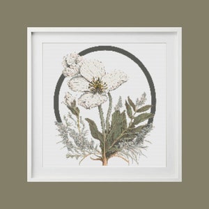 Klaprozen kruissteekpatroon, wilde klaproos kruissteektabel, bloemen kruissteekpatroon, botanische steek, witte bloemen, veldpapaver