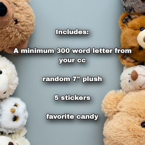 May include: A collection of plush teddy bears surrounding a text description that reads "Includes: A minimum 300 word letter from your cc random 7" plush 5 stickers favorite candy".