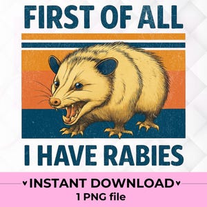 Camiseta con rabia (Png), divertida camiseta con meme de mapache, divertido mapache de Trash Panda (Png), humor adulto (Png), chica salvaje (Png), cápsula de sublimación de rabia