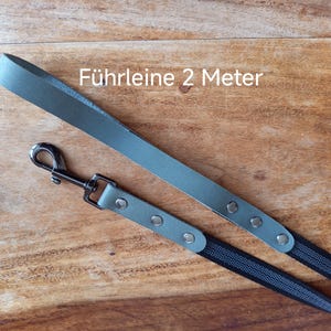 May include: A dog leash with a gray leather handle and a black nylon strap. The leash has a metal clasp and is approximately 2 meters long. The text "Führleine 2 Meter" is visible.