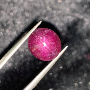 May include: A vibrant, oval-shaped ruby gemstone, held by tweezers. The ruby displays a six-ray star effect, with a deep red hue and a polished surface. The gemstone is set against a dark, blurred background.