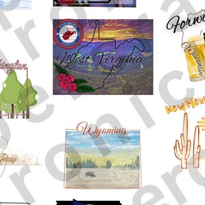 50 staatsstickers - kies een Amerikaanse staat of volledige set - kleine vinylstickers - gratis verzending