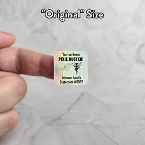 May include: A holographic sticker with a fairy design and the text "You've Been Pixie Dusted!"  Johnson Family Stateroom #9582.