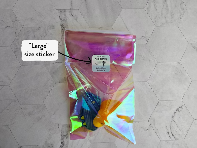 May include: A clear iridescent plastic bag with a sticker that says "You've Been Pixie Dusted!"  The bag contains a blue and yellow toy. The sticker also says "Ruth and Emma Nashville, TN".