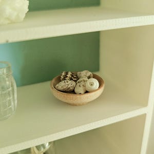 Dollhouse Miniature Bowl of Shells, Dollhouse Beach Decor, Mini Decor, Dollhouse Accessories, Mini Accessories, 1:12 Scale