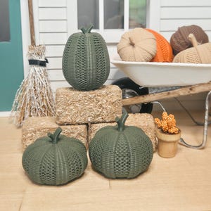 Könnte beinhalten: Eine Sammlung von dekorativen Miniatur-Kürbissen in Olivgrün, Beige und Orange mit texturierten Oberflächen. Das Set enthält einen kleinen Besen mit einem schwarzen Hexenhut als Aufsatz, eine weiße Schubkarre und rechteckige Heuballen.
