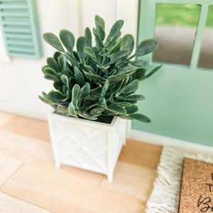Dollhouse Miniature Plant, Dollhouse Plants, Dollhouse Decorations, Mini Plants, Dollhouse Decor, 1:12 Scale Plants