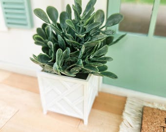 Dollhouse Miniature Plant, Dollhouse Plants, Dollhouse Decorations, Mini Plants, Dollhouse Decor, 1:12 Scale Plants