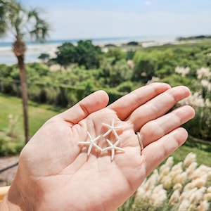 Puede incluir: Tres pequeñas estrellas de mar blancas se sostienen en una mano abierta. Las estrellas de mar están dispuestas en un grupo, con un fondo costero natural de follaje verde, cielo azul y océano.