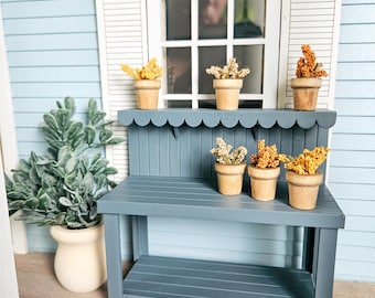 May include: Miniature blue potting bench with six small potted plants with dried flowers. A large potted plant sits to the left. The background is a light blue wall with a white window.