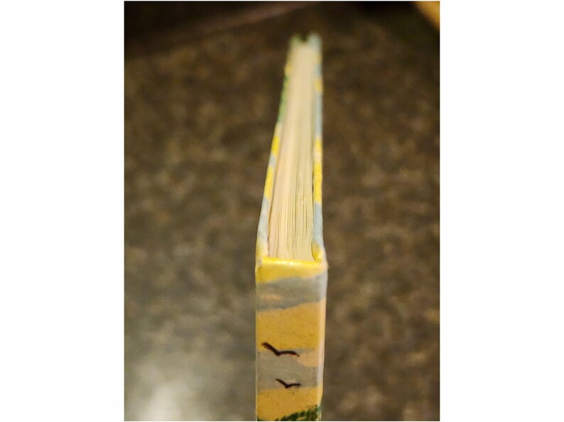 Puede incluir: El lomo de un libro amarillo y azul con un dise&ntilde;o de p&aacute;jaros volando en el cielo. El libro est&aacute; cerrado.