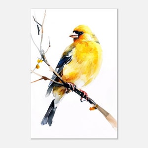 Stieglitz Aquarell Druck Vogel Gemälde Moderne Wohnkultur Rustikal Wand Kunst Bauernhaus Wildtiere Dekor Vogelbeobachter Geschenk für Vogelliebhaber