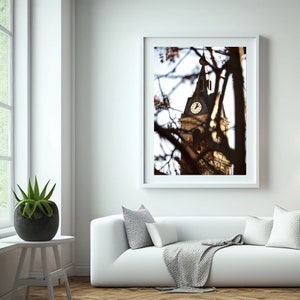 Arte de la antigua torre del reloj de Jaffa, vista única a través de las ramas, fotografía de arquitectura histórica de Israel, decoración de pared de Jaffa Yafo, impresión vintage de Tel Aviv