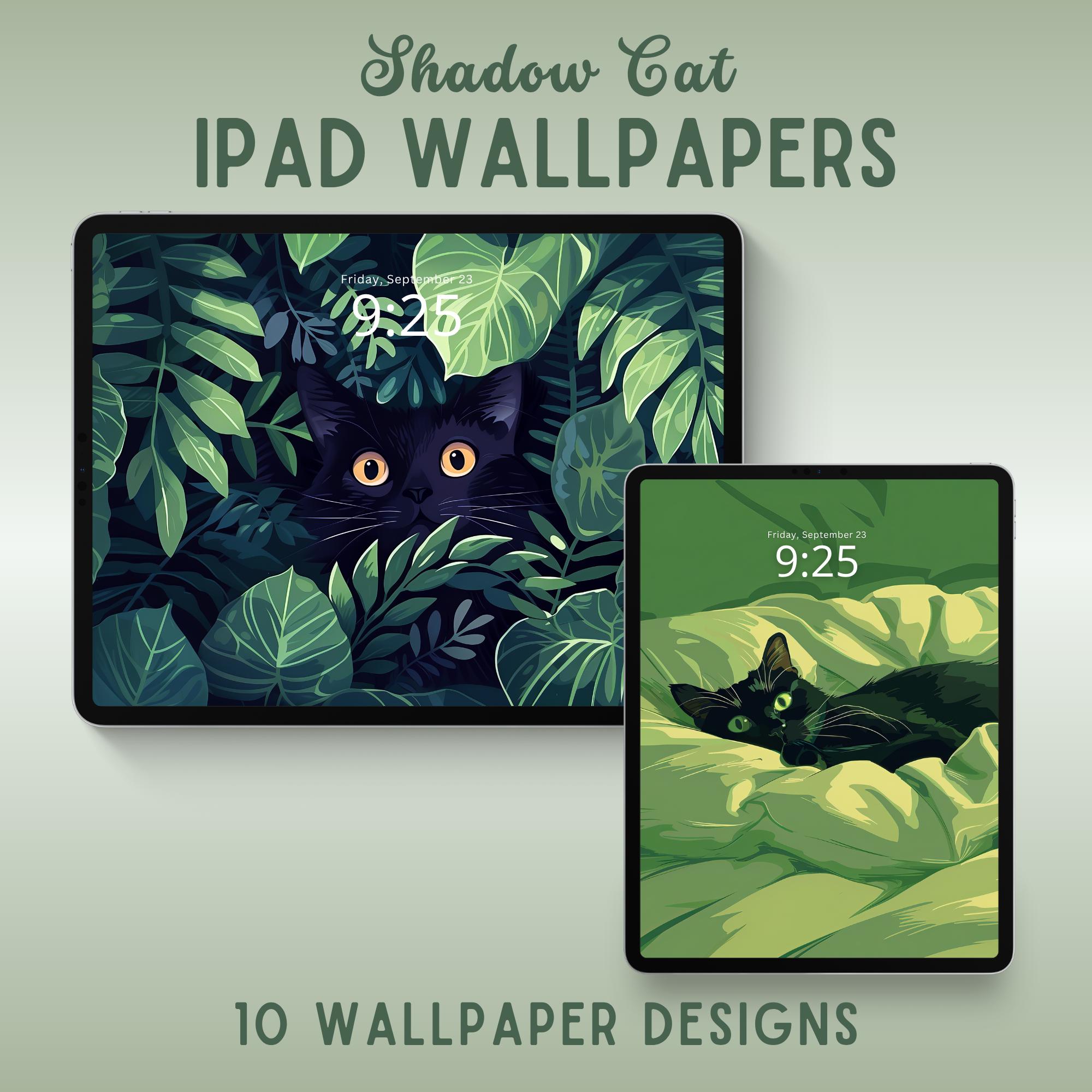 Black Cats iPad Wallpaper Lofi iPad Background Tablet Wallpaper Cat ...