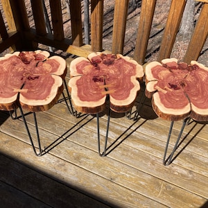 Op de afbeelding: Drie houten krukken met een natuurlijke houtkleur en een roodbruin kernhout. De krukken hebben een unieke, organische vorm en worden ondersteund door zwarte haarspeldpoten.