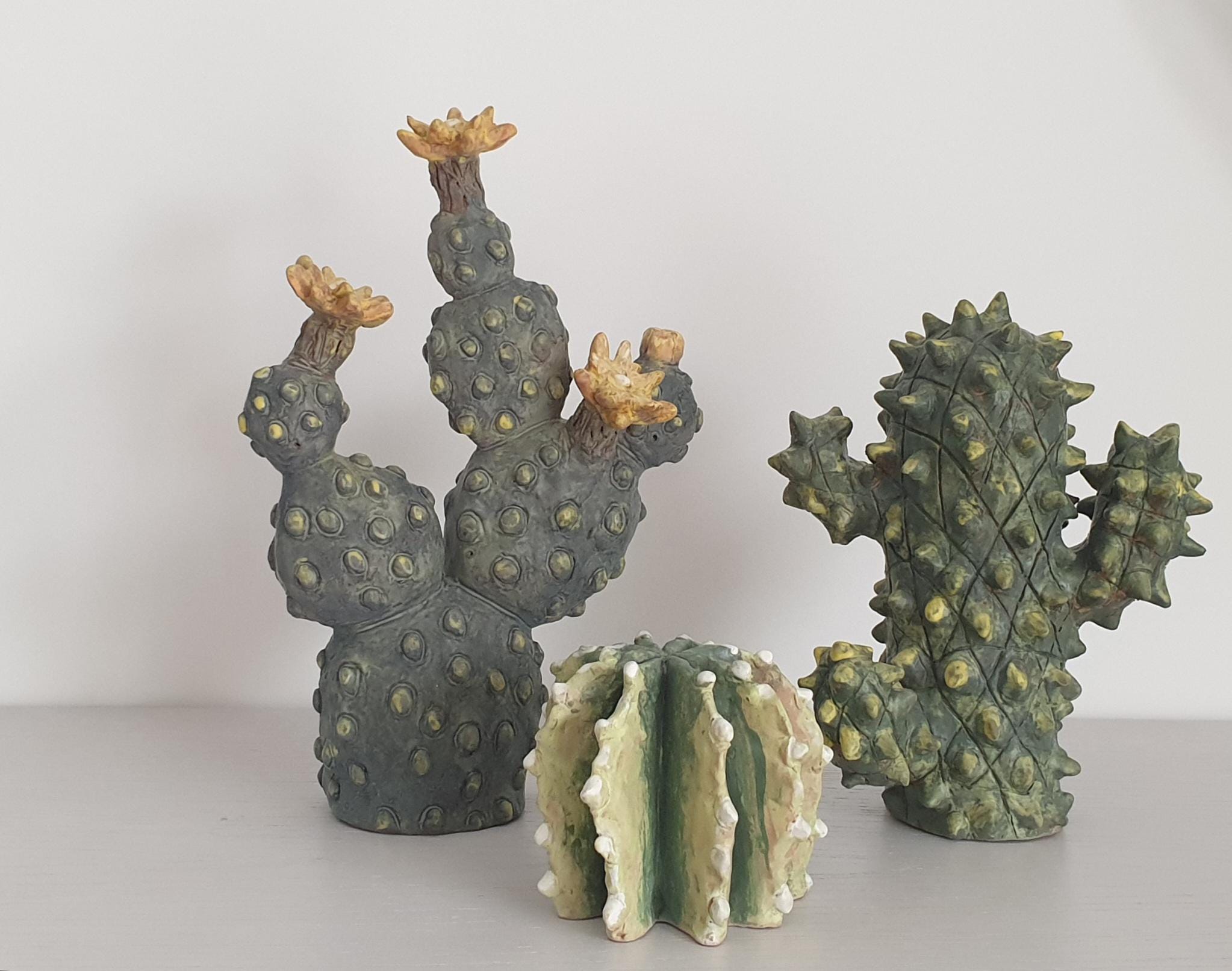Cactus in ghiveci din ceramica | IMOD Flowers