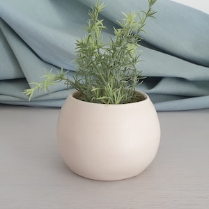 Peut inclure: Un petit pot rond en céramique blanche avec une plante verte à l'intérieur. Le pot est posé sur une surface gris clair.
