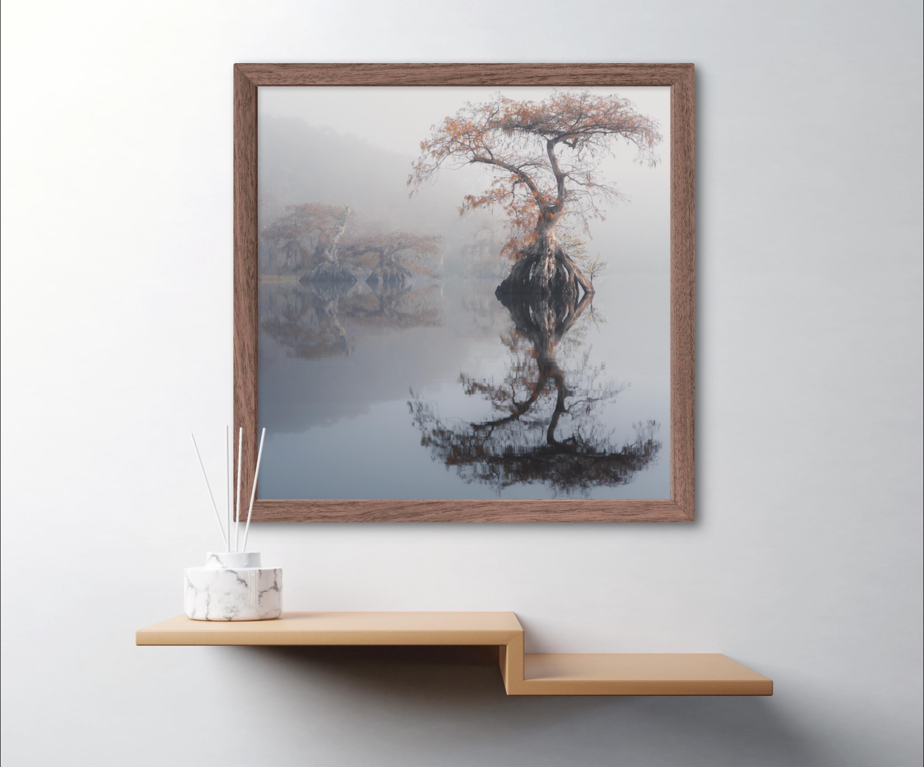 Gallery image with a fresh perspective