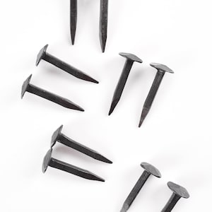 Könnte beinhalten: Ein Satz von zehn schwarzen Metallnägeln mit flachen Köpfen. Die Nägel sind auf einem weißen Hintergrund verstreut angeordnet.