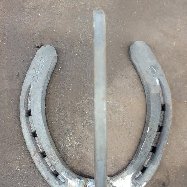 Horse shoe hanger