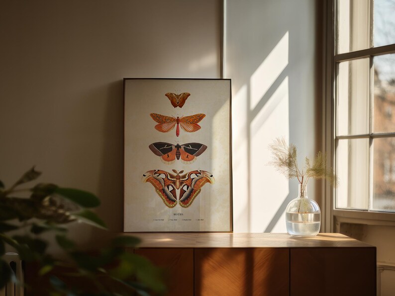 Moths Illustration Poster Download, Antique Moths Art Print, Vintage ...