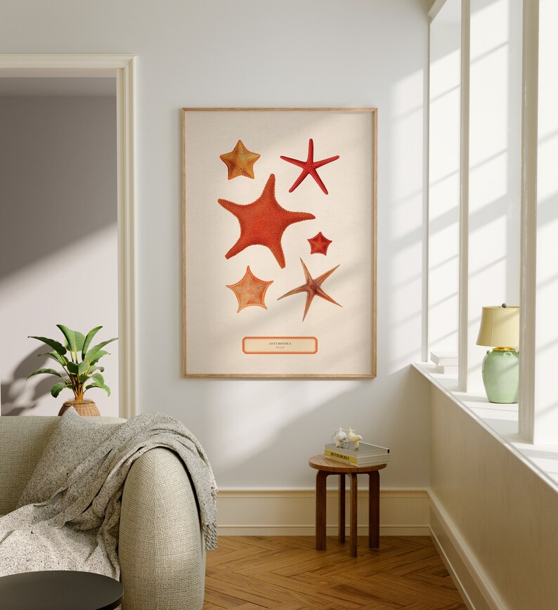 Starfish Illustration Poster, Antique Starfish Art Print, Vintage Starfish Art Digital Download ...