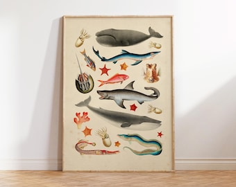 Póster con ilustración de criaturas marinas, impresión artística antigua de criaturas marinas, descarga digital de criaturas marinas antiguas, póster con impresión artística de criaturas marinas