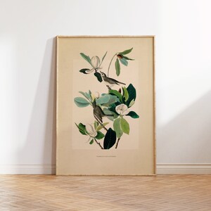 May include: A vintage botanical illustration of two birds perched on a magnolia branch with white blossoms. The print is framed in a light wood frame and has the text "WARBLING FLYCATCHER" at the bottom.