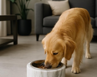 Puede incluir: Un golden retriever come de un cuenco para perros de mármol con interior de acero inoxidable. El cuenco es blanco con vetas grises y está sobre un suelo de baldosas grises. El perro está en una habitación bien iluminada con un sofá gris y una planta en maceta.