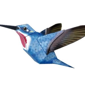 Kit di carta per lavoretti Kit di modelli di carta per lavoretti di colibrì Piani PDF da stampare, tagliare e incollare Modello di carta fai da te per lavoretti di carta per hobby, puzzle, decorazioni