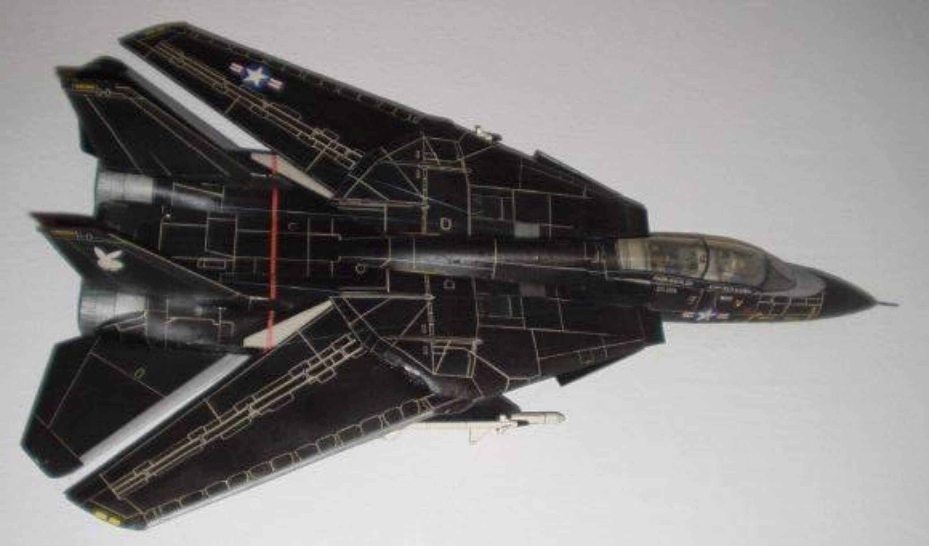 ペーパークラフト 1/33 F-14A ブラックトムキャット Fly Model 【公式