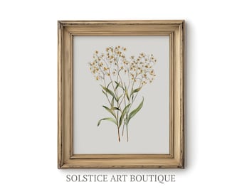 Vintage Branch Sketch | Neutral Botanical Drawing | Flowers | Printable Vintage Drawing | Solstice Art Boutique