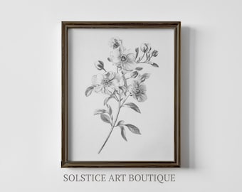 Vintage Branch Sketch | Neutral Botanical Drawing | Flowers | Printable Vintage Drawing | Solstice Art Boutique