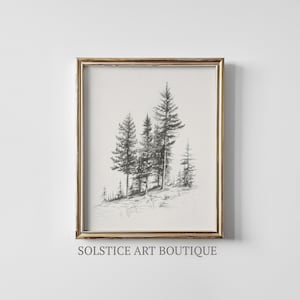 Stampa di pino longleaf / schizzo di albero vintage / arte di alberi stampabile / stampa di fattoria / arte scaricabile / Solstice Art Boutique