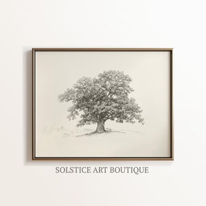Vintage Oak Tree Sketch / Neutral Botanical Drawing / Printable Vintage Drawing