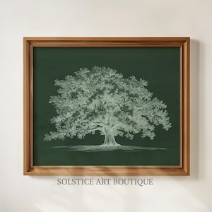 Esboço de Carvalho Vintage | Desenho Botânico Neutro | Gravuras de Árvores | Desenho Vintage para Imprimir | Solstice Art Boutique