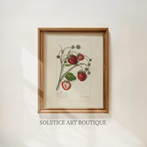 May include: A framed botanical print featuring a detailed illustration of strawberries. The artwork showcases ripe red strawberries with green leaves and stems. The print is in a wooden frame, and the text "SOLSTICE ART BOUTIQUE" is at the bottom.