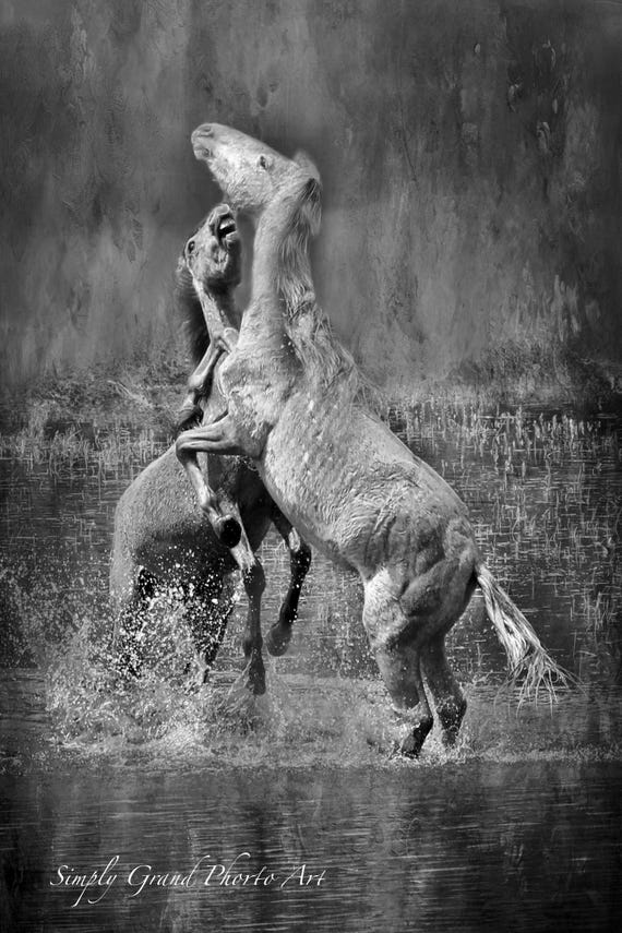 Horses on Canvas or Digital Download