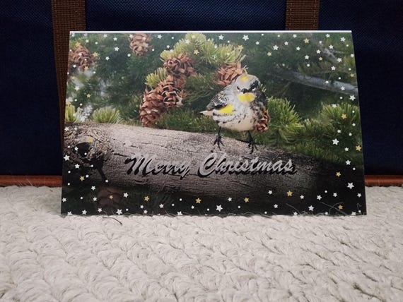 Warbler Christmas  Card