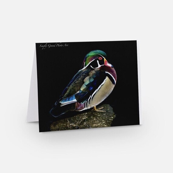 Note Card   Wood Duck