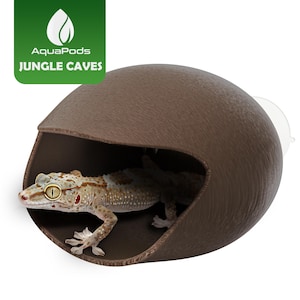 Gecko Hideout for Terrariums - Reptile Shelter & Décor, Lizard Cave, Ideal for Crested Gecko, Leopard Gecko, Small Reptiles, Jumping Spiders