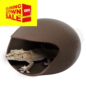 Gecko Hideout for Terrariums - Reptile Shelter & Décor, Lizard Cave, Ideal for Crested Gecko, Leopard Gecko, Small Reptiles, Jumping Spiders