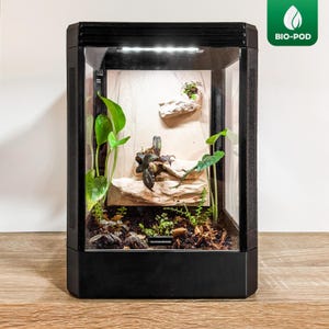 Könnte beinhalten: Ein schwarzes Bio-Pod-Terrarium mit rechteckigem Glasgehäuse und einem internen LED-Lichtstreifen an der Oberseite. Das Innere enthält Erde, verschiedene Grünpflanzen und helle Gesteinsformationen auf einer Rückwand in Holzoptik.
