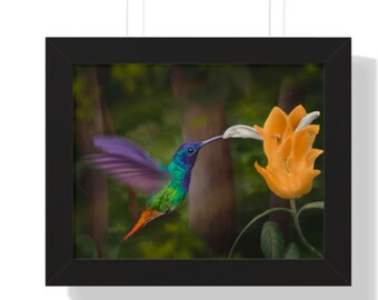 11 x 14 Goldschwanz-Saphir-Kolibri von Christopher The Artist