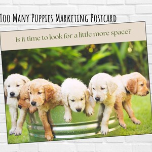 Zu viele Welpen, brauchen mehr Space-Postkarte
