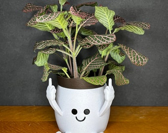 Unique Middle Finger Pot - Trendy Middle Finger Planter for Succulents and Small Houseplants