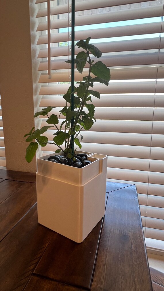 Self-watering Square Planter - Etsy